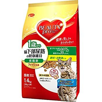 だいず姉さん病院に行く_c0259945_16162406.jpg
