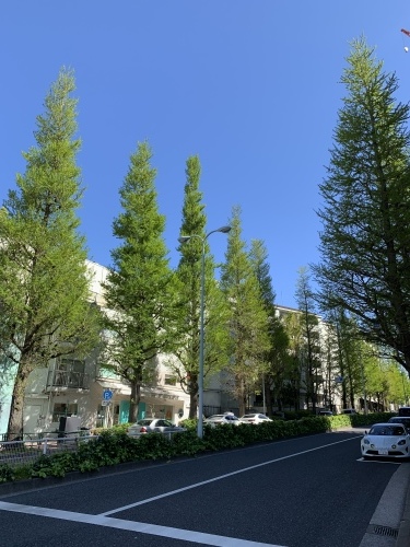 プラチナ通り_b0145846_18020980.jpg