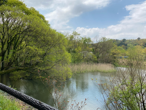 公園の竹林を歩く_e0136066_21263119.jpg