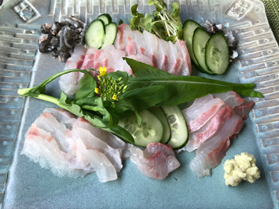 石鯛のお刺身 ホタルイカと菜の花の芥子酢味噌和え やせっぽちソプラノのキッチン2 石鯛のお刺身 ホタルイカと菜の花の芥子酢味噌和え やせっぽちソプラノのキッチン2