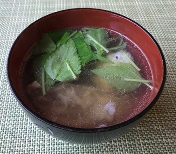 石鯛のお刺身 ホタルイカと菜の花の芥子酢味噌和え やせっぽちソプラノのキッチン２