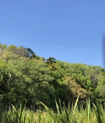 今日も歩行の練習に♪_f0242002_11411407.jpg