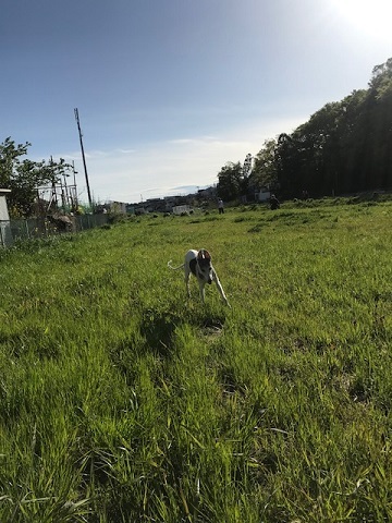今日も歩行の練習に♪_f0242002_16485973.jpg