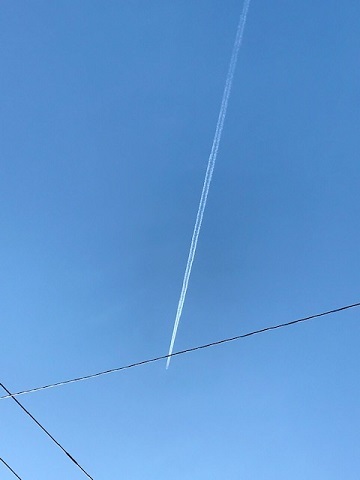 今日も歩行の練習に♪_f0242002_16491740.jpg