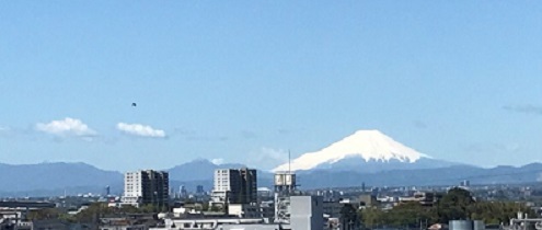 寂しい春_f0231309_08090851.jpg