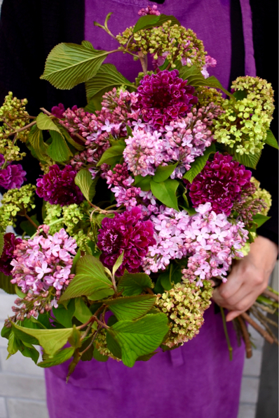 ライラック オオデマリ メリーミルトン スカビオサ Allure Diary