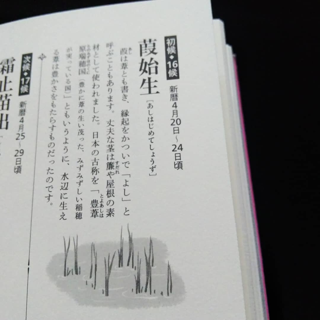 200420 七十二候「葭始生」(あしはじめてしょうず)_f0164842_11545294.jpg