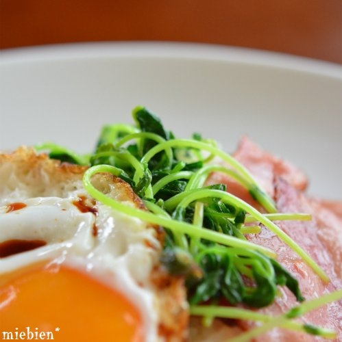 豆苗 コウケンテツ様の こんがりベーコンエッグ飯 Me 豆苗 コウケンテツ様の こんがりベーコンエッグ飯 Me