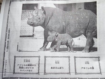 小学生新聞にとべ動物園のクロサイ・フーくんの記事