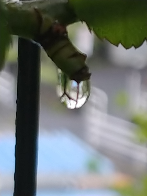 イブ早くしてくれないかな?_c0162773_12194756.jpg