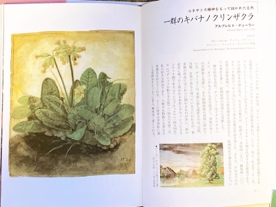 名画の中の植物_a0252678_16171663.jpeg