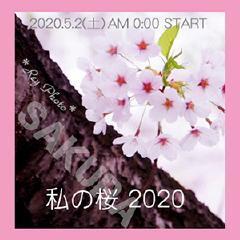 スフィンクスと椅子_c0356480_21274871.jpg
