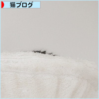 コロナじゃないよ_a0389088_17240282.jpg