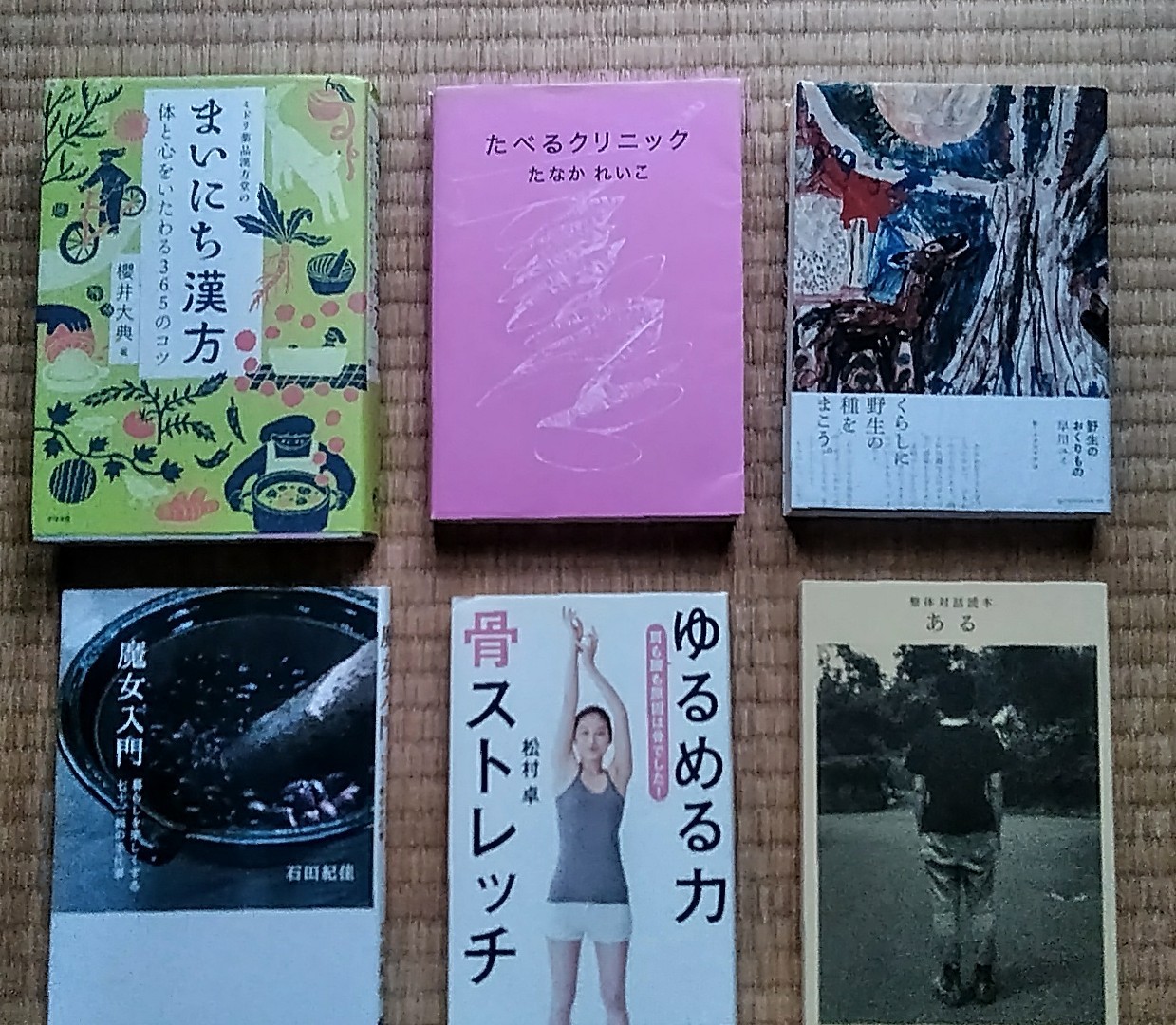 わたしの健康本 その2 日々の縫い物 わたしの健康本 その2 日々の縫い物