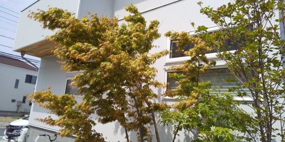 お届け物に… 川口市の木の家へ_d0080906_14211057.jpg