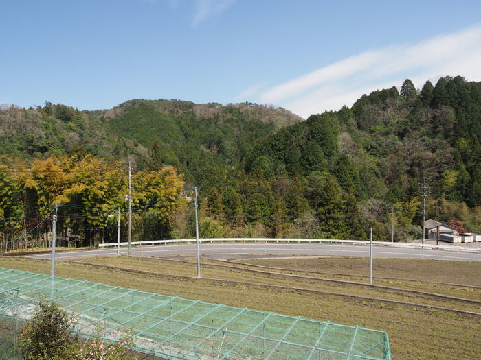 曇りのち晴れ_c0116915_23465519.jpg