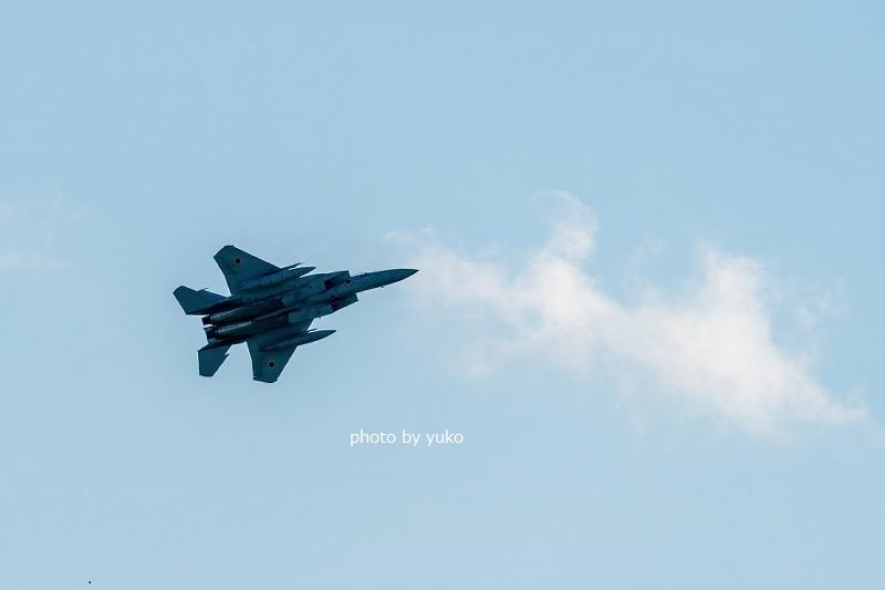 花と飛行機_d0358716_04041380.jpg