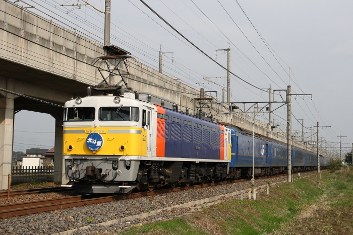 ラジ鉄 北斗星 EF 81R/C 1月予約】KATO EF81 81 北斗星色 Nゲージ 鉄道模型 3066-E