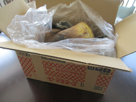 K子ちゃんからの筍&コロナで思うこと2つ_a0279743_09450369.jpg