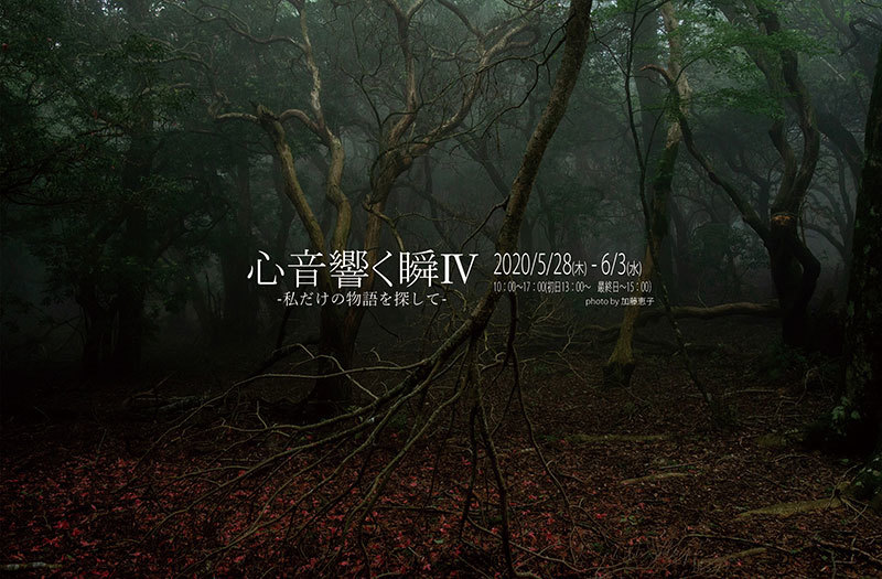 心音 響く瞬 私だけの物語を探して 静岡 風景写真出版からのおしらせ 心音 響く瞬 私だけの物語を探して 静岡 風景写真出版からのおしらせ