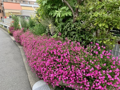 BUHIの小さな袋♪_b0307951_22345775.jpg