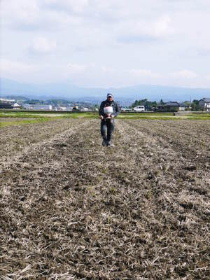 れんげを肥料に使い無農薬栽培の「七城町砂田のこだわりれんげ米」残りわずか!れんげの花咲く様子(2020)_a0254656_17343890.jpg
