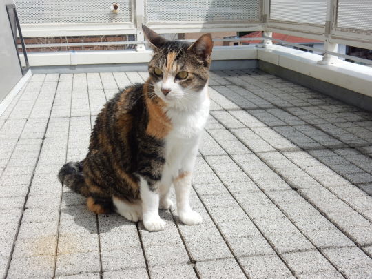 ’20,4,21(火)やりたいことは全部やったかも!_f0060461_10395307.jpg