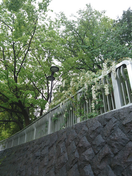 都会で生きるということ_f0197985_10333383.jpg