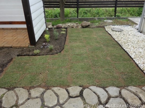 春の庭しごと 芝生張りと宿根草の植えつけ2_c0293787_20075399.jpg