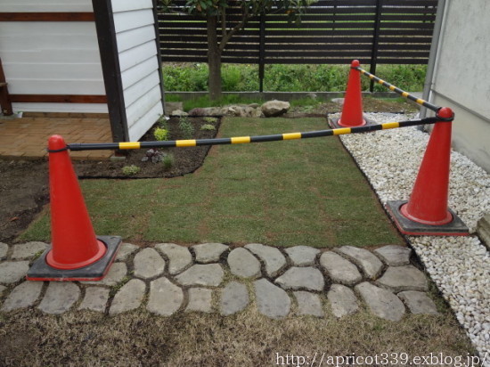 春の庭しごと 芝生張りと宿根草の植えつけ2_c0293787_20080451.jpg
