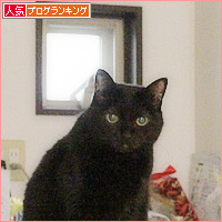 まめのあとを継ぐ者_a0389088_05471404.jpg