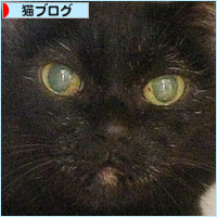 まめのあとを継ぐ者_a0389088_05471461.jpg
