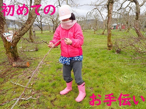 初めてのお手伝い_c0182012_13113400.jpg