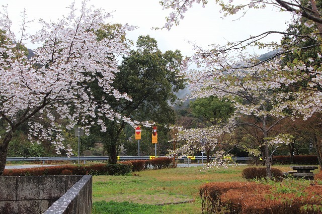 咢堂記念館への旅(撮影:3月29日)_e0321325_11083926.jpg