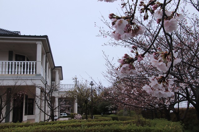 咢堂記念館への旅(撮影:3月29日)_e0321325_11125577.jpg