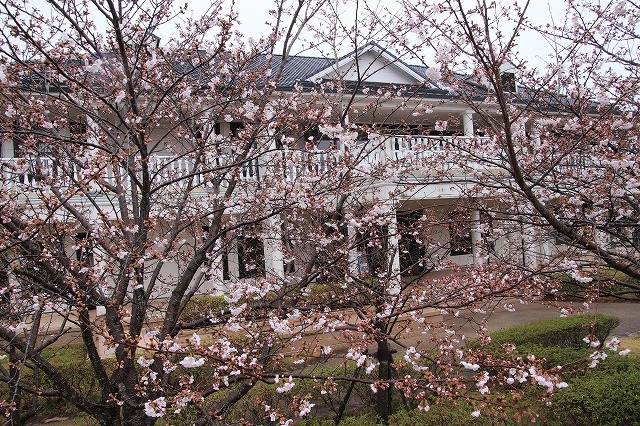 咢堂記念館への旅(撮影:3月29日)_e0321325_11140469.jpg