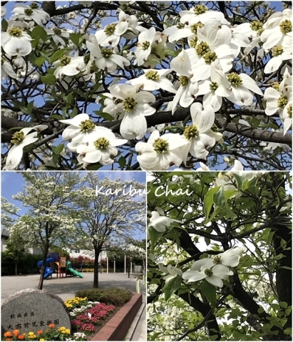 それなりに…楽しく過ごそう～♪_c0079828_16580270.jpg