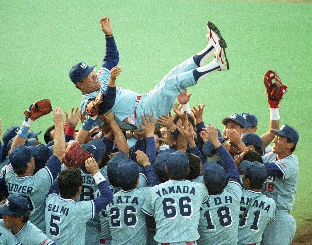 ファン歴48年 神宮の杜 ファン歴48年 神宮の杜