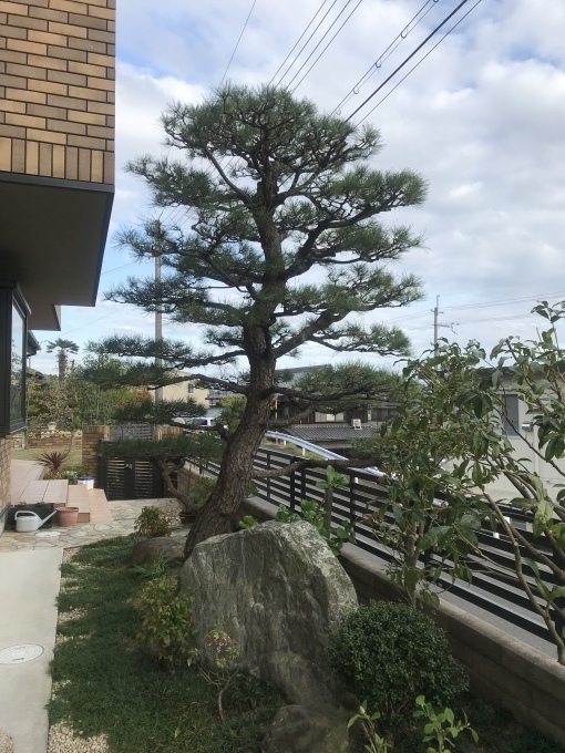餅は餅屋って本当です_b0100062_18310381.jpeg