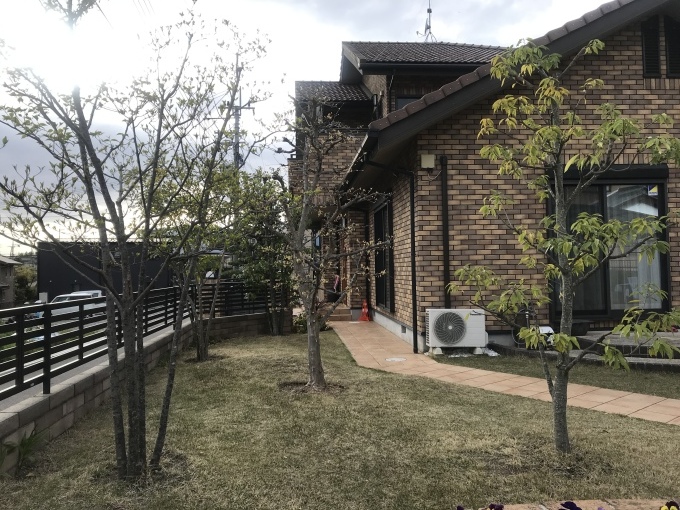 餅は餅屋って本当です_b0100062_18320282.jpeg