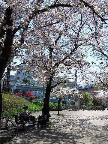 コロナウイルス感染と栄養学の関係性。_b0141773_21054445.jpg