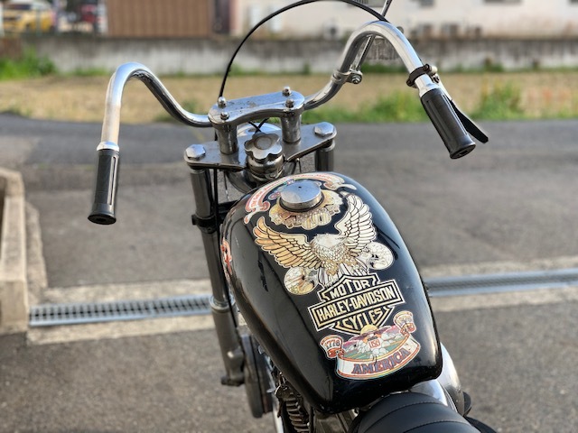 64FLH  DUO CHOPPER_a0165898_18303348.jpg