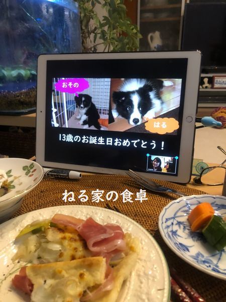 オンラインお誕生会_d0224111_17415654.jpg