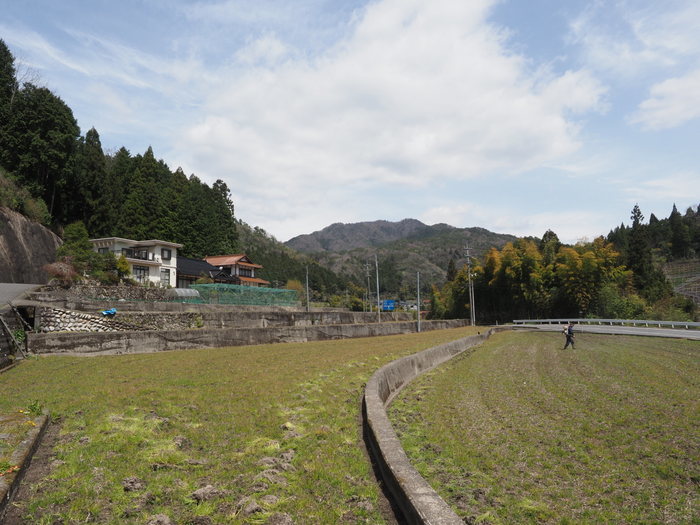 晴れたり曇ったり（田んぼに。。）_c0116915_00103224.jpg