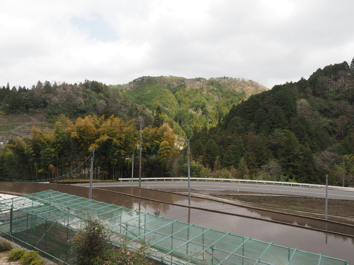 田んぼの代掻き_c0116915_23162367.jpg