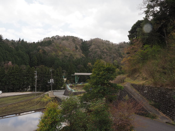 田んぼの代掻き_c0116915_23172366.jpg