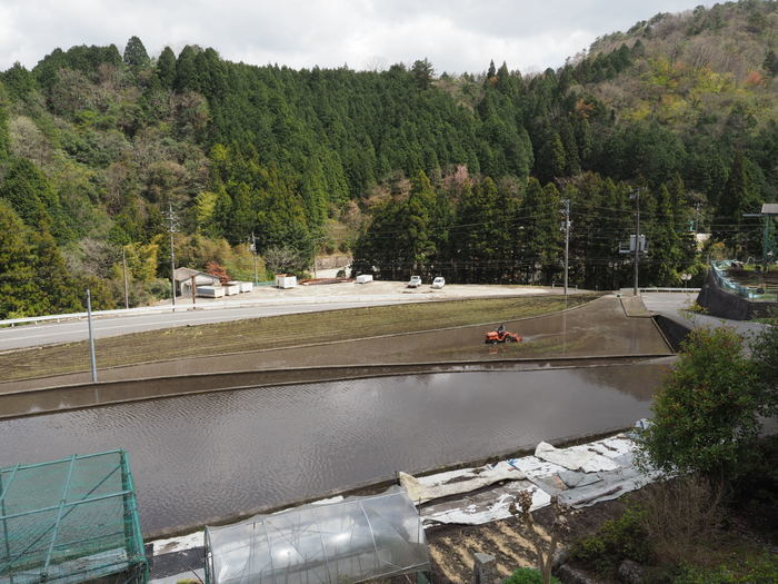 田んぼの代掻き_c0116915_23181484.jpg