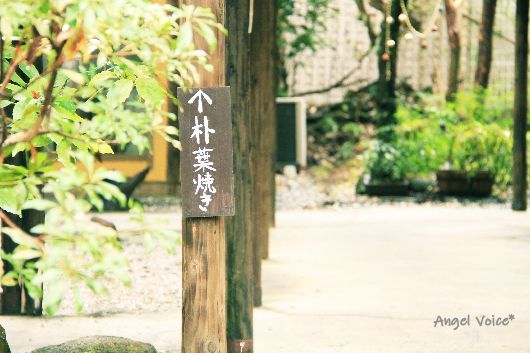 一度は行ってみたい場所_d0147742_13044130.jpg