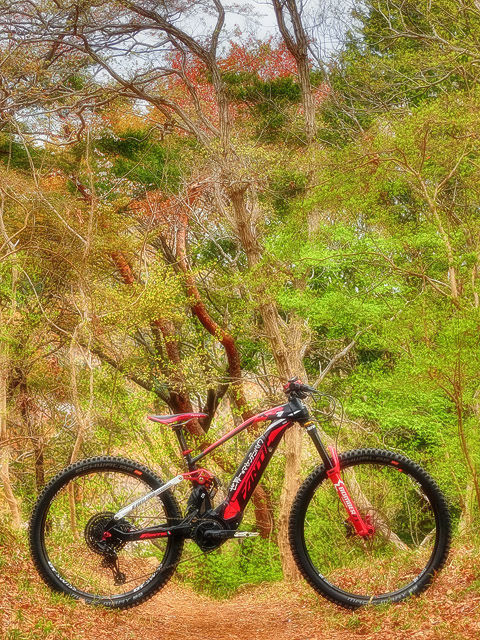 e-mountainbike dreamin XXXXVII_b0049658_21091774.jpg