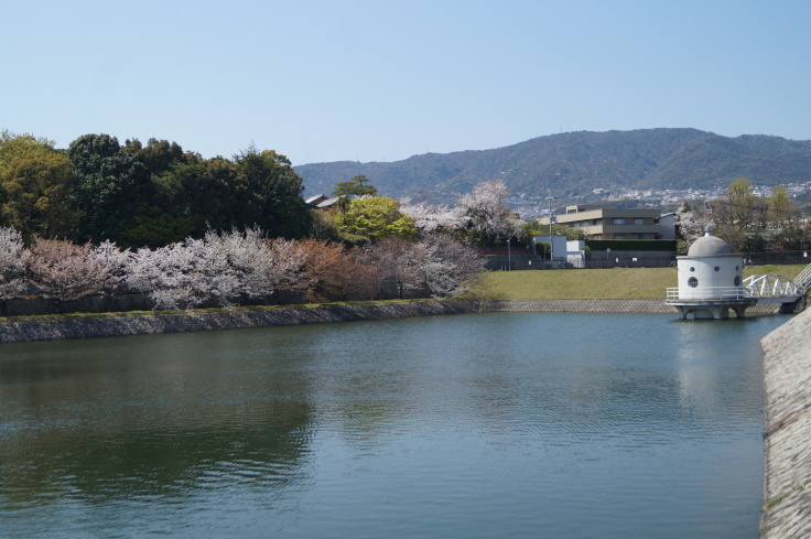 火垂るの墓ゆかりのニテコ池の桜_b0063958_09525109.jpg
